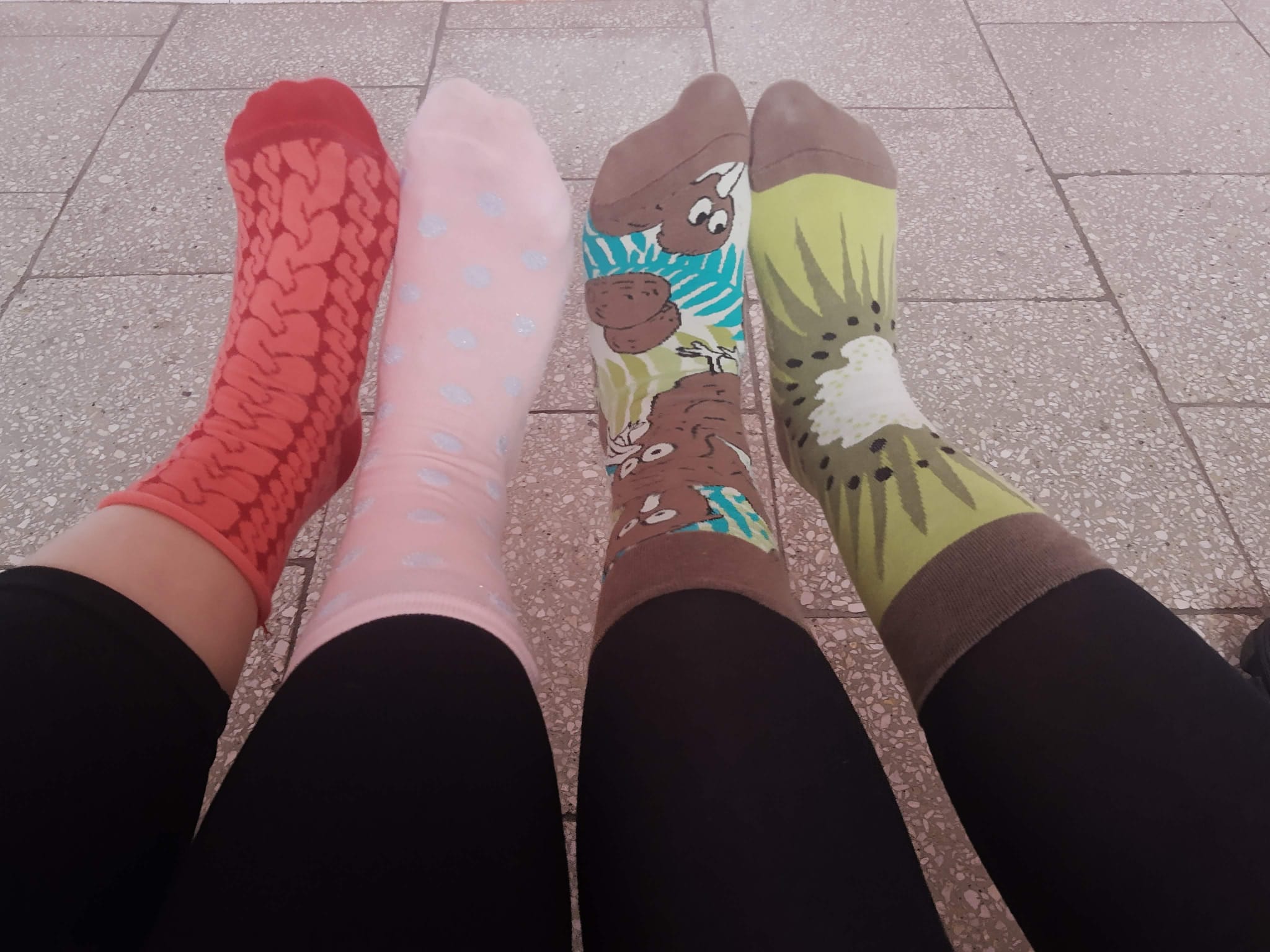 Zdjęcie WhatsApp 2023 03 23 o 18.28.0511