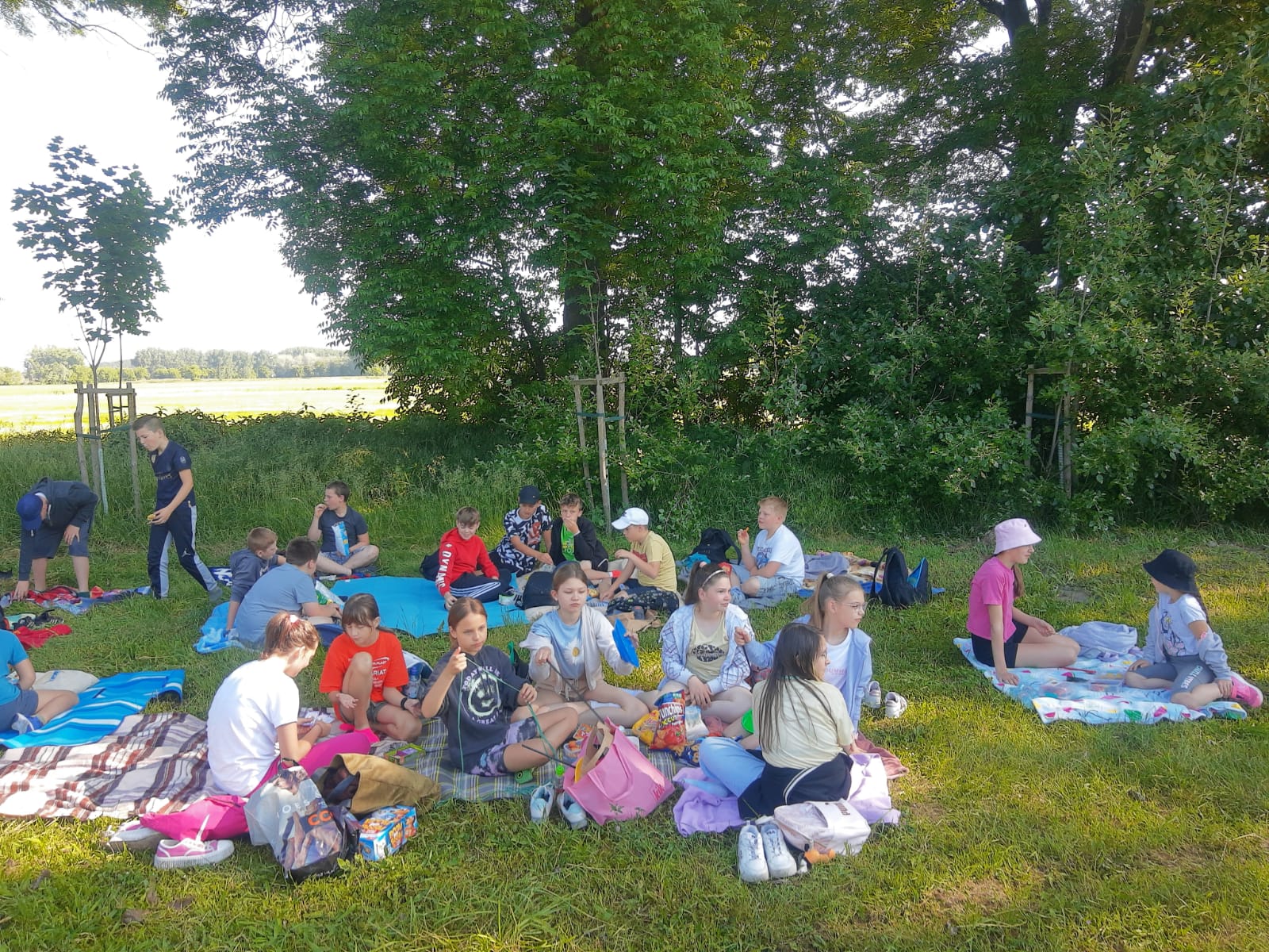 Zdjęcie WhatsApp 2023 06 12 o 08.24.478