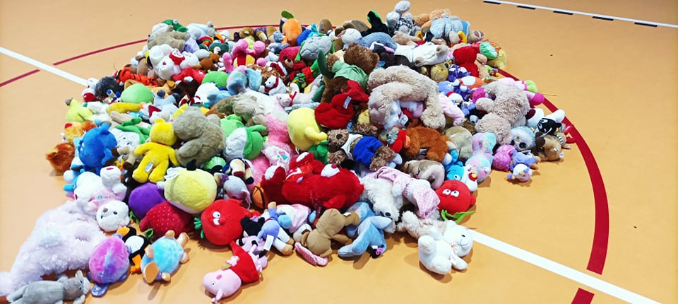 267510363 301594438538725 1670767173773089479 n