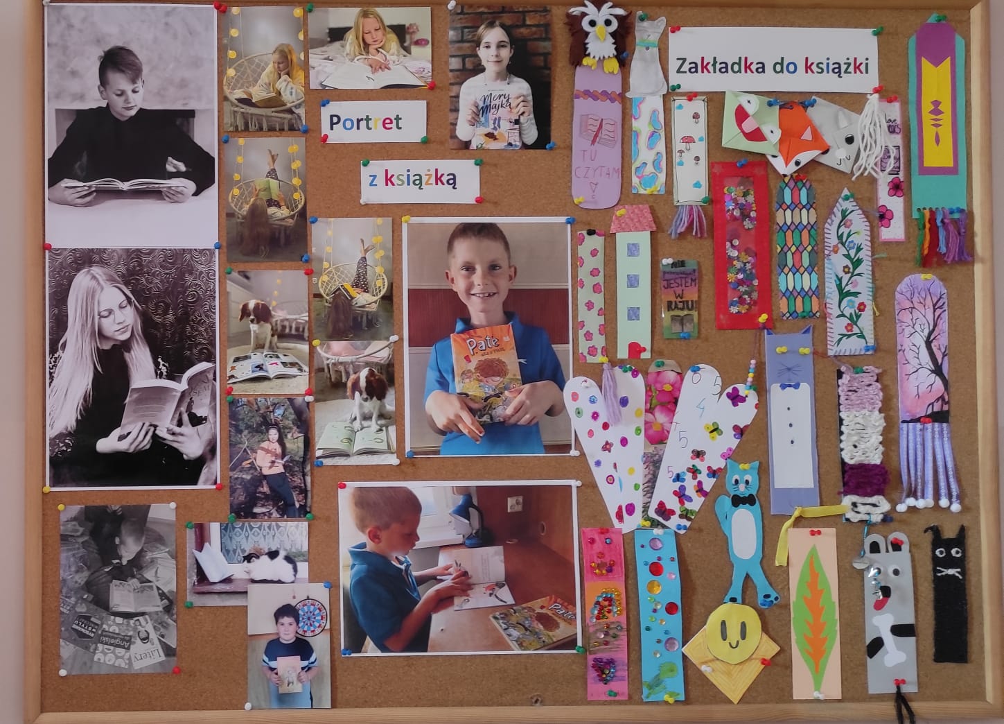 Zdjęcie WhatsApp 2022 11 02 o 10.09.08