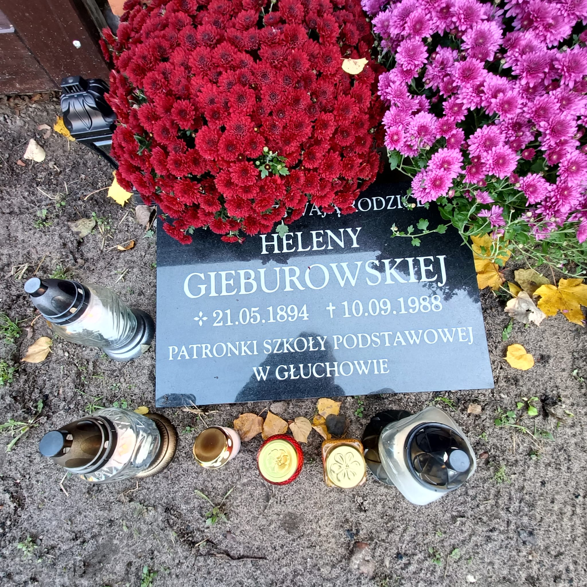 Zdjęcie WhatsApp 2023 11 06 o 16.36.36 79993cfa2