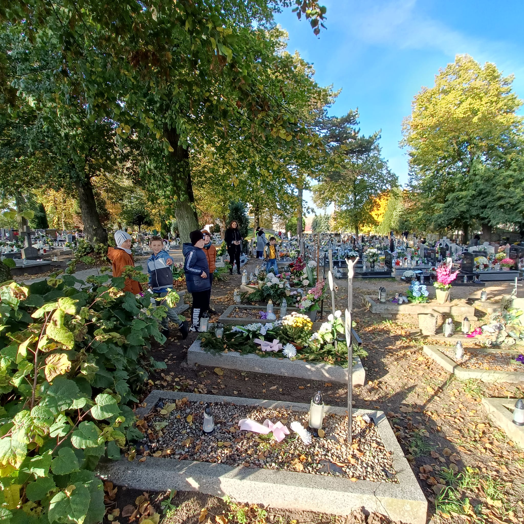 Zdjęcie WhatsApp 2023 11 06 o 16.36.46 b73ab1063