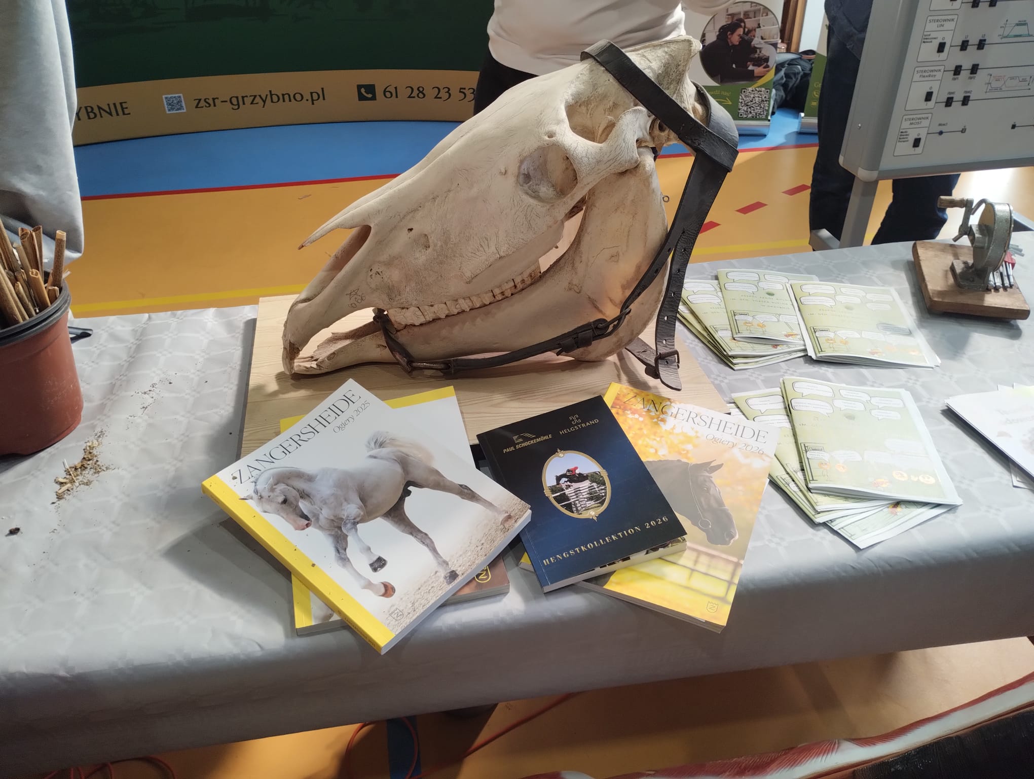 WhatsApp Image 2026 03 19 at 20.00.40 1